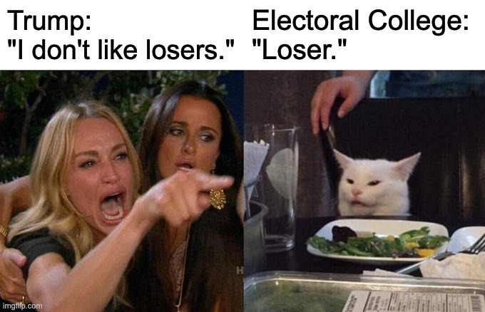 Woman Yelling At Cat | Trump:
"I don't like losers."; Electoral College:
"Loser." | image tagged in memes,woman yelling at cat,donald trump,trump,election 2020,electoral college | made w/ Imgflip meme maker