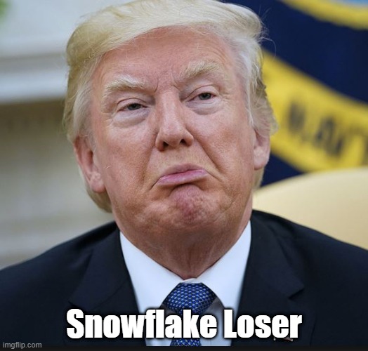 "Snowflake Loser" | Snowflake Loser | image tagged in snowflake,loser,trump,sour grapes,whiner,whine bitch piss moan | made w/ Imgflip meme maker