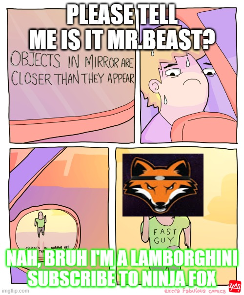 Objects in Mirror | PLEASE TELL ME IS IT MR.BEAST? NAH, BRUH I'M A LAMBORGHINI SUBSCRIBE TO NINJA FOX | image tagged in objects in mirror | made w/ Imgflip meme maker