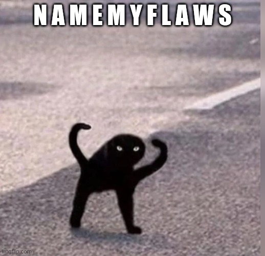 Cursed Cat | N A M E M Y F L A W S | image tagged in cursed cat | made w/ Imgflip meme maker