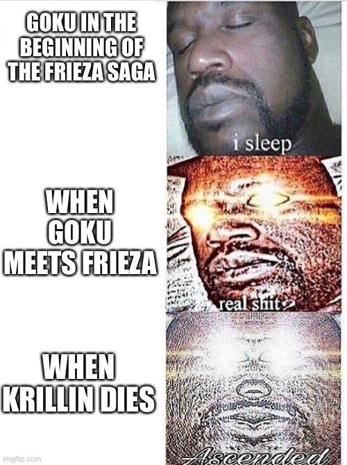 I sleep meme with ascended template | GOKU IN THE BEGINNING OF THE FRIEZA SAGA; WHEN GOKU MEETS FRIEZA; WHEN KRILLIN DIES | image tagged in i sleep meme with ascended template | made w/ Imgflip meme maker
