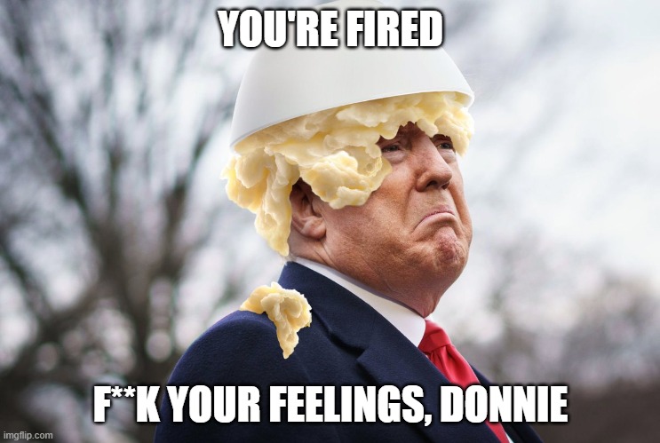 you're fired | YOU'RE FIRED; F**K YOUR FEELINGS, DONNIE | image tagged in you're fired | made w/ Imgflip meme maker