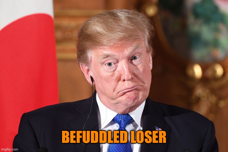 Trump dumbfounded befuddled confused | BEFUDDLED LOSER | image tagged in trump dumbfounded befuddled confused | made w/ Imgflip meme maker