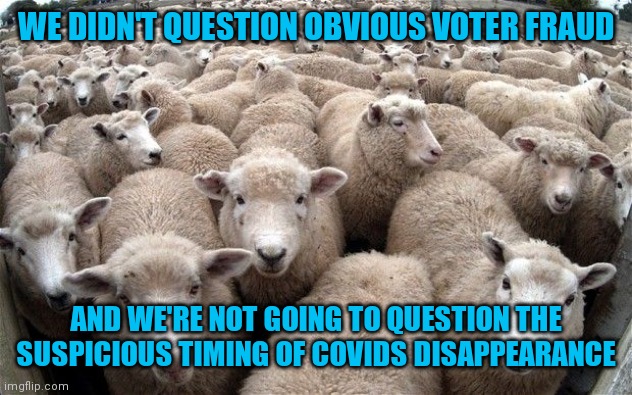 sheeple | WE DIDN'T QUESTION OBVIOUS VOTER FRAUD AND WE'RE NOT GOING TO QUESTION THE SUSPICIOUS TIMING OF COVIDS DISAPPEARANCE | image tagged in sheeple | made w/ Imgflip meme maker