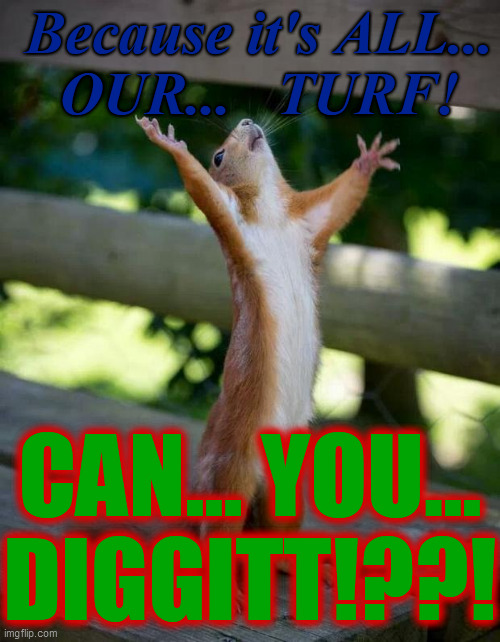 Cyrus. Warrior. Squirrel. | Because it's ALL...
OUR...   TURF! CAN... YOU...
DIGGITT!??! | image tagged in warriors,cyrus,our turf,diggit,squirrel patrol,baseball bat | made w/ Imgflip meme maker