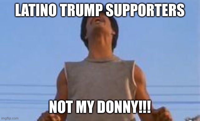 Not my donny | LATINO TRUMP SUPPORTERS; NOT MY DONNY!!! | image tagged in la bamba | made w/ Imgflip meme maker