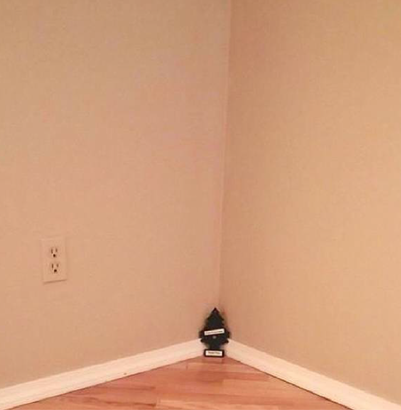 High Quality Christmas tree is up. Blank Meme Template