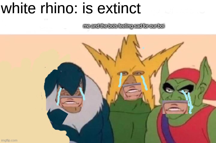 RIP WHITE RHINO | white rhino: is extinct; me and the bois feeling sad for our boi | image tagged in memes,me and the boys | made w/ Imgflip meme maker