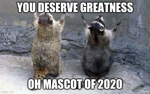 Raccoon Worshipping | YOU DESERVE GREATNESS OH MASCOT OF 2020 | image tagged in raccoon worshipping | made w/ Imgflip meme maker