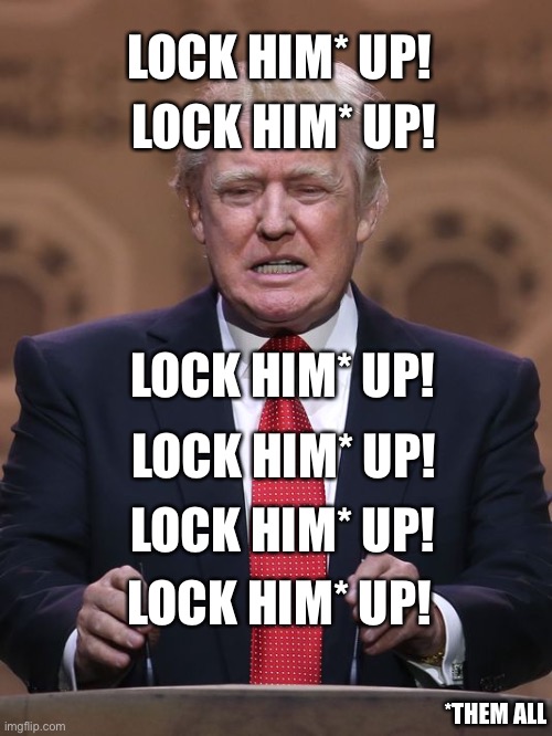 Donald Trump | LOCK HIM* UP! LOCK HIM* UP! LOCK HIM* UP! LOCK HIM* UP! LOCK HIM* UP! LOCK HIM* UP! *THEM ALL | image tagged in donald trump,donald trump you're fired,donald trump is an idiot,election 2020 | made w/ Imgflip meme maker