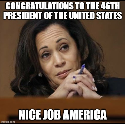 The 46th President of The United States | CONGRATULATIONS TO THE 46TH PRESIDENT OF THE UNITED STATES; NICE JOB AMERICA | image tagged in kamala harris,democratic socialism,joe biden | made w/ Imgflip meme maker