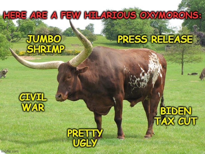 Hilarious Oxymorons | HERE ARE A FEW HILARIOUS OXYMORONS:; PRESS RELEASE; JUMBO 
SHRIMP; CIVIL
WAR; BIDEN
TAX CUT; PRETTY
UGLY | image tagged in oxymoron,joe biden,tax cuts | made w/ Imgflip meme maker