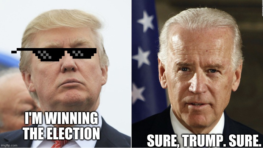 Trump and Biden | I'M WINNING THE ELECTION SURE, TRUMP. SURE. | image tagged in trump and biden | made w/ Imgflip meme maker