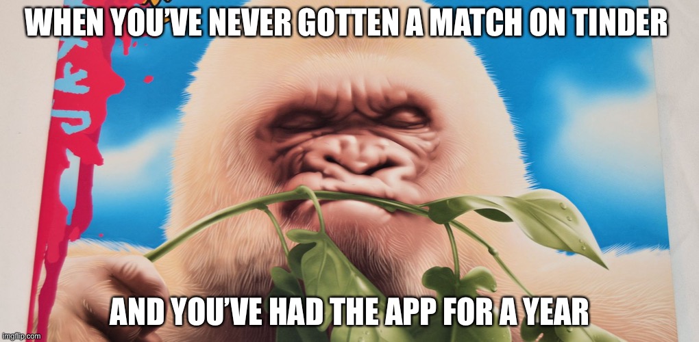 Angry Albino Gorilla | WHEN YOU’VE NEVER GOTTEN A MATCH ON TINDER; AND YOU’VE HAD THE APP FOR A YEAR | image tagged in angry albino gorilla,memes,fun,tinder | made w/ Imgflip meme maker