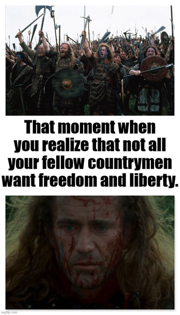 If we want freedom and liberty, we need to keep fighting for it. | image tagged in friendship betrayed,politics,fighting,freedom,liberty | made w/ Imgflip meme maker