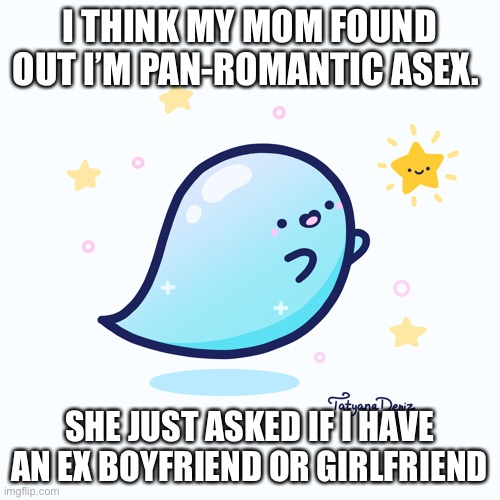 S p i c y | I THINK MY MOM FOUND OUT I’M PAN-ROMANTIC ASEX. SHE JUST ASKED IF I HAVE AN EX BOYFRIEND OR GIRLFRIEND | image tagged in oops,spicy | made w/ Imgflip meme maker