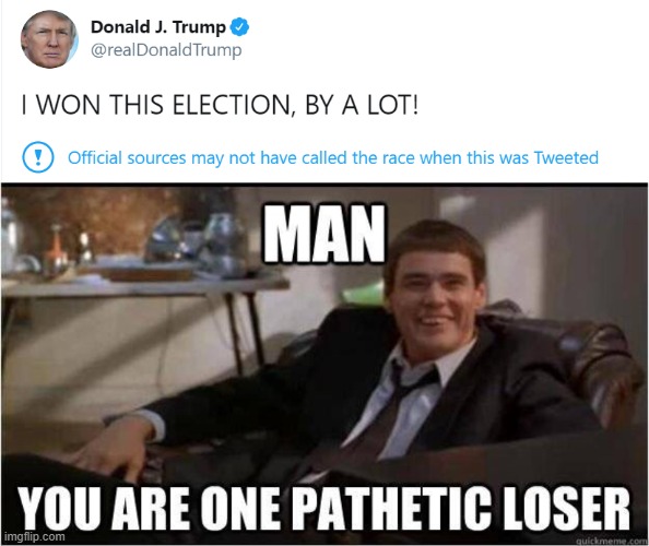 Trump is a pathetic loser | image tagged in trump,donald trump,voter fraud,election 2020,loser,dumb and dumber | made w/ Imgflip meme maker