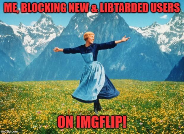 Bye dem trolls, now I only have to see you if I chose to. | ME, BLOCKING NEW & LIBTARDED USERS; ON IMGFLIP! | image tagged in look at all these high-res | made w/ Imgflip meme maker