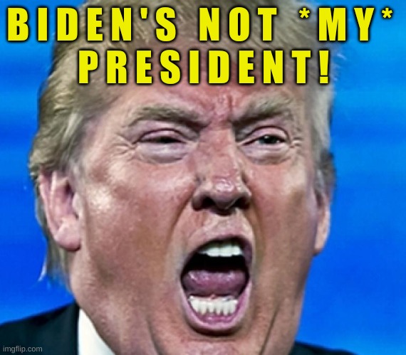 trump yelling | B I D E N ' S   N O T   * M Y * 
P R E S I D E N T ! | image tagged in trump yelling,not my president,election 2020,trump lost,recount | made w/ Imgflip meme maker