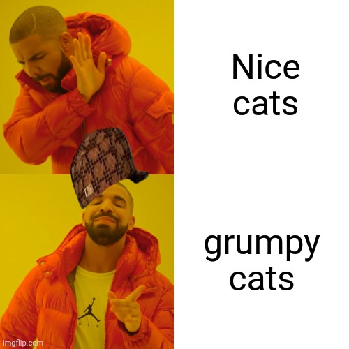 Drake Hotline Bling Meme | Nice cats grumpy cats | image tagged in memes,drake hotline bling | made w/ Imgflip meme maker