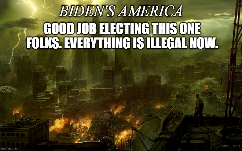 Biden's America | BIDEN'S AMERICA GOOD JOB ELECTING THIS ONE FOLKS. EVERYTHING IS ILLEGAL NOW. | image tagged in world destruction,chaos,socialist biden,desolation | made w/ Imgflip meme maker
