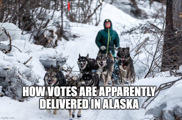 What's Taking So Long? | HOW VOTES ARE APPARENTLY DELIVERED IN ALASKA | image tagged in voting,election 2020 | made w/ Imgflip meme maker