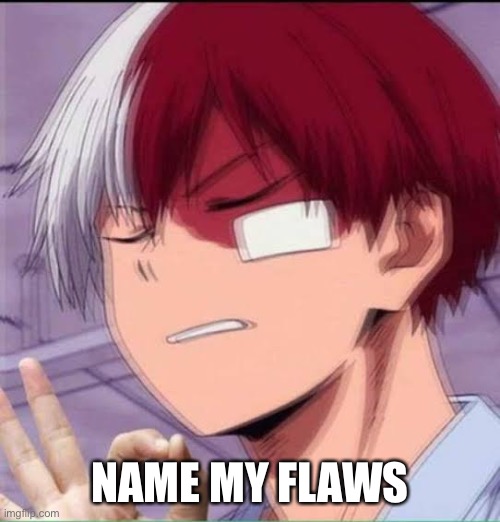 NAME MY FLAWS | made w/ Imgflip meme maker
