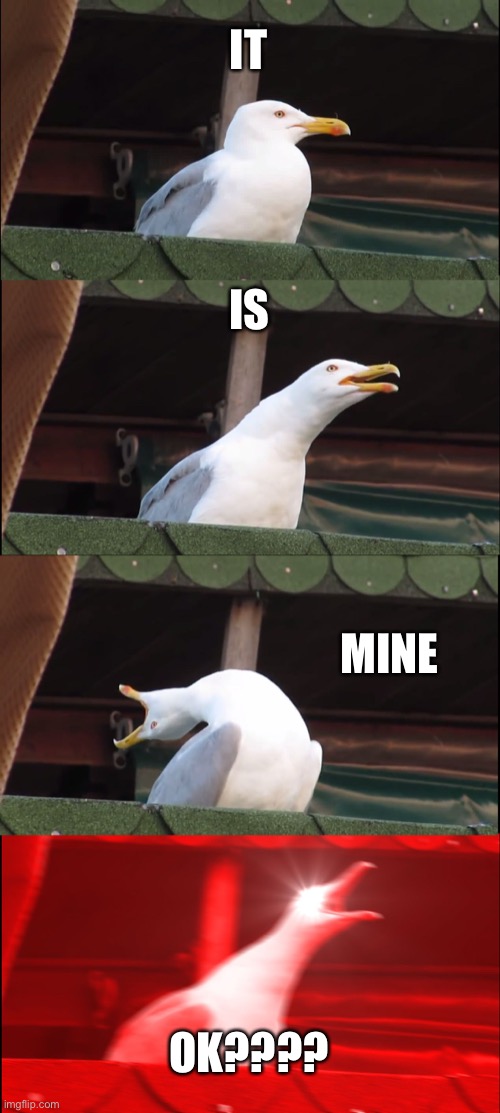 Inhaling Seagull | IT; IS; MINE; OK???? | image tagged in memes,inhaling seagull | made w/ Imgflip meme maker