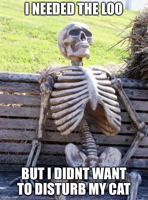 Waiting Skeleton | I NEEDED THE LOO; BUT I DIDN'T WANT TO DISTURB MY CAT | image tagged in memes,waiting skeleton,cats | made w/ Imgflip meme maker