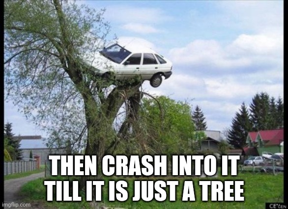 Secure Parking Meme | THEN CRASH INTO IT TILL IT IS JUST A TREE | image tagged in memes,secure parking | made w/ Imgflip meme maker