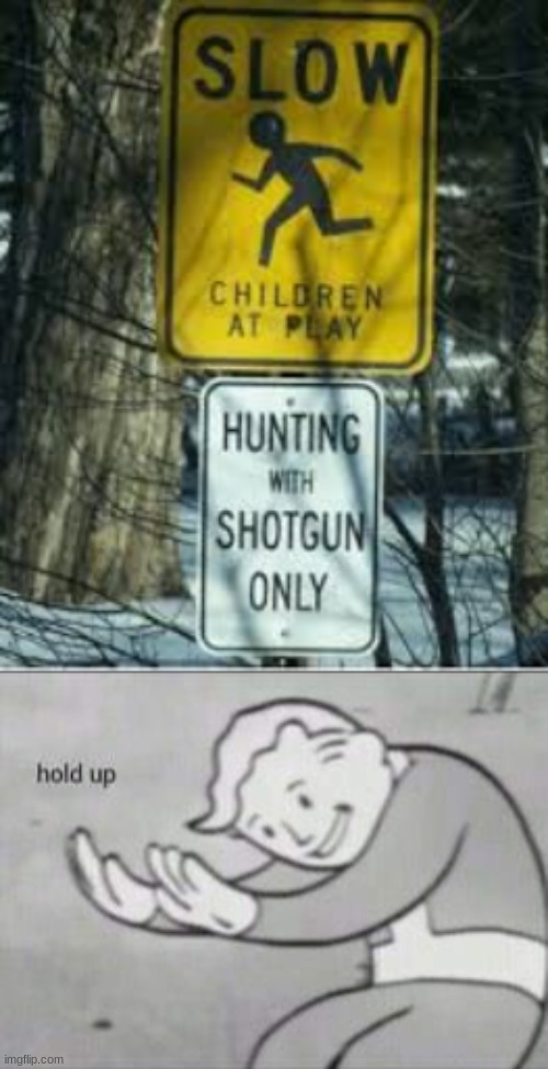 WTF | image tagged in fallout hold up | made w/ Imgflip meme maker
