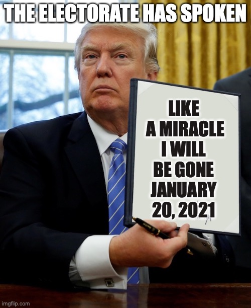 Goodbye Don | THE ELECTORATE HAS SPOKEN; LIKE  A MIRACLE I WILL BE GONE JANUARY 20, 2021 | image tagged in donald trump blank executive order | made w/ Imgflip meme maker