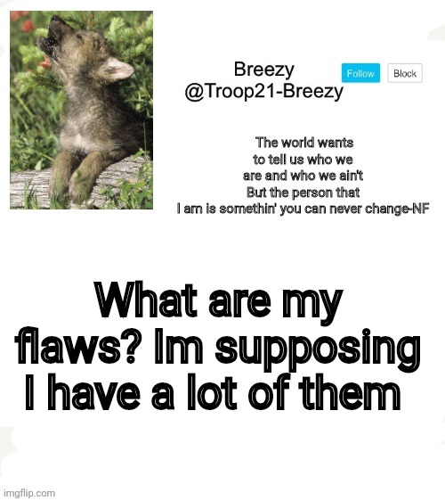 What are my flaws? Im supposing I have a lot of them | made w/ Imgflip meme maker