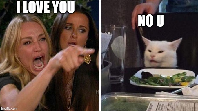 Angry lady cat | I LOVE YOU; NO U | image tagged in angry lady cat | made w/ Imgflip meme maker