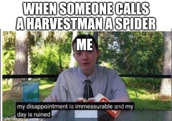 harvestmen are not spiders | WHEN SOMEONE CALLS A HARVESTMAN A SPIDER; ME | image tagged in my dissapointment is immeasurable and my day is ruined | made w/ Imgflip meme maker