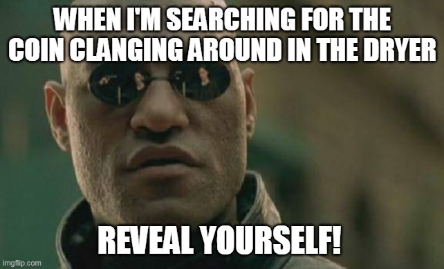 Reveal yourself | WHEN I'M SEARCHING FOR THE COIN CLANGING AROUND IN THE DRYER; REVEAL YOURSELF! | image tagged in memes,matrix morpheus | made w/ Imgflip meme maker