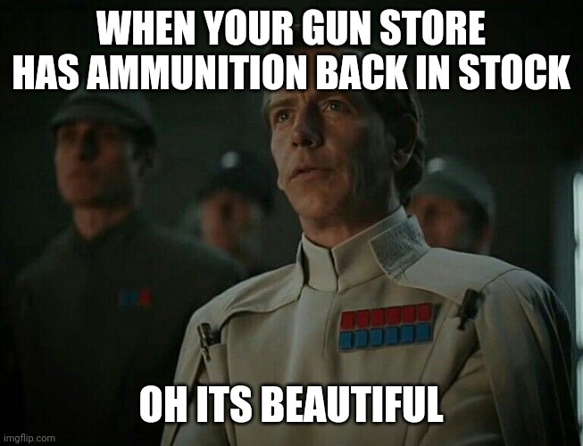 star wars ammo | WHEN YOUR GUN STORE HAS AMMUNITION BACK IN STOCK; OH ITS BEAUTIFUL | image tagged in star wars | made w/ Imgflip meme maker