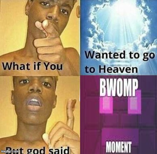 B W O M P | image tagged in what if you wanted to go to heaven | made w/ Imgflip meme maker