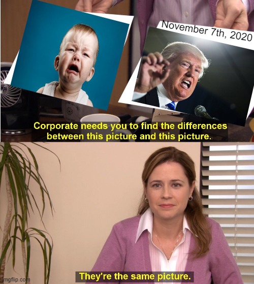 Time to get a new diaper | November 7th, 2020 | image tagged in they're the same picture,donald trump,election 2020,sore loser,angry baby,politics | made w/ Imgflip meme maker