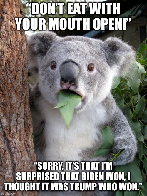 Surprised Koala | “DON’T EAT WITH YOUR MOUTH OPEN!”; “SORRY, IT’S THAT I’M SURPRISED THAT BIDEN WON, I THOUGHT IT WAS TRUMP WHO WON.” | image tagged in memes,surprised koala | made w/ Imgflip meme maker