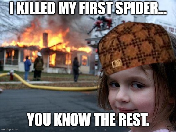 Yay I Did It | I KILLED MY FIRST SPIDER... YOU KNOW THE REST. | image tagged in memes,disaster girl | made w/ Imgflip meme maker