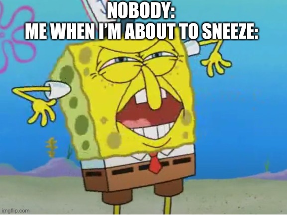 title | NOBODY:; ME WHEN I’M ABOUT TO SNEEZE: | image tagged in spongebob,relatable | made w/ Imgflip meme maker