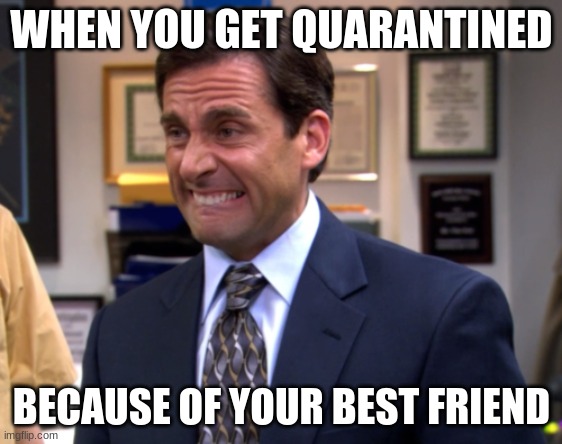 my bs mind in quarantine | WHEN YOU GET QUARANTINED; BECAUSE OF YOUR BEST FRIEND | image tagged in michaelscott | made w/ Imgflip meme maker