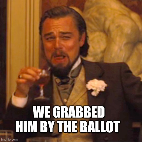 Laughing Leo | WE GRABBED HIM BY THE BALLOT | image tagged in memes,laughing leo | made w/ Imgflip meme maker