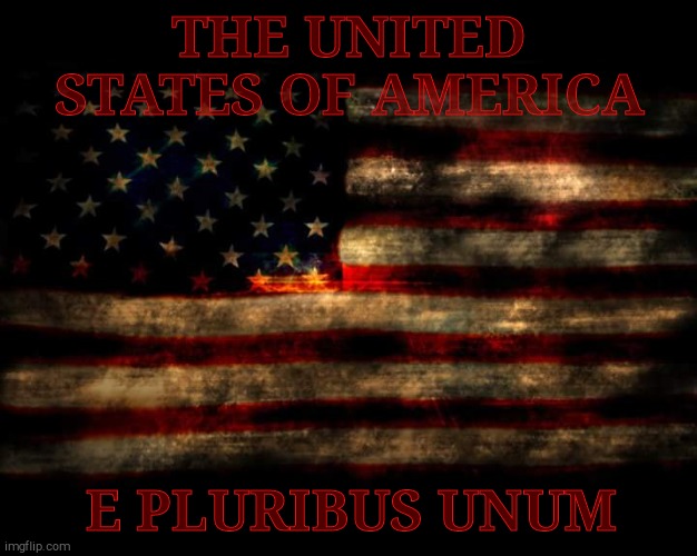 Saved once again from that that would dare tread upon us AKA Just another chapter in the day in the life of.... | THE UNITED STATES OF AMERICA E PLURIBUS UNUM | image tagged in usa flag,united states of america,america,american flag,election 2020,standing proudly united as one | made w/ Imgflip meme maker