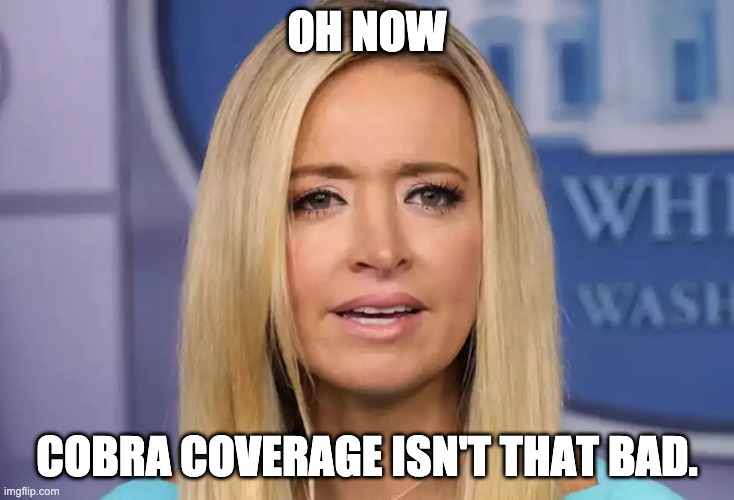 Kayleign McEnany | OH NOW; COBRA COVERAGE ISN'T THAT BAD. | image tagged in health insurance | made w/ Imgflip meme maker