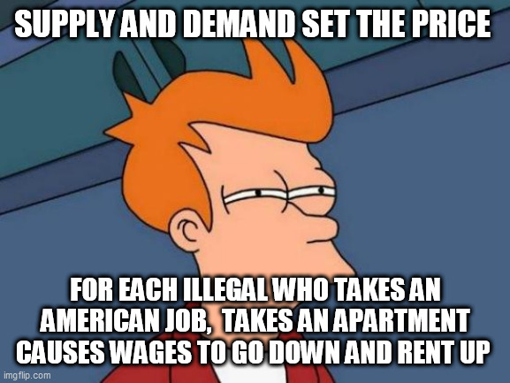 Futurama Fry Meme | SUPPLY AND DEMAND SET THE PRICE; FOR EACH ILLEGAL WHO TAKES AN AMERICAN JOB,  TAKES AN APARTMENT CAUSES WAGES TO GO DOWN AND RENT UP | image tagged in memes,futurama fry | made w/ Imgflip meme maker