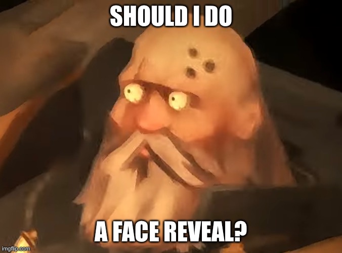 SHOULD I DO; A FACE REVEAL? | made w/ Imgflip meme maker