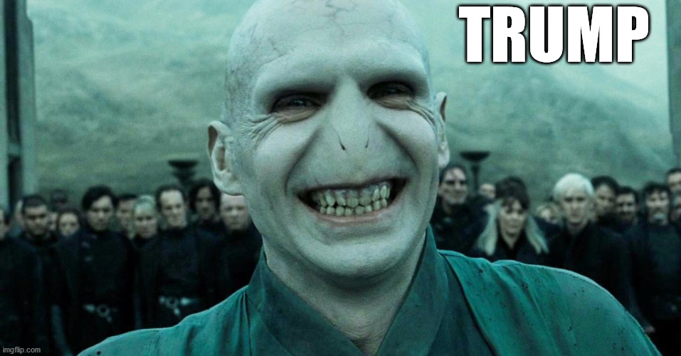 Savage Harry Potter joke | TRUMP | image tagged in savage harry potter joke | made w/ Imgflip meme maker