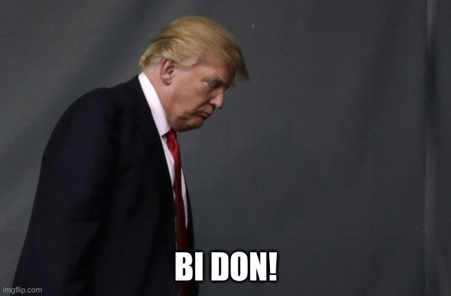 bad pun | BI DON! | image tagged in sad trump,joe biden 2020,winner | made w/ Imgflip meme maker